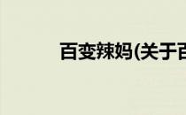 百变辣妈(关于百变辣妈的简介)