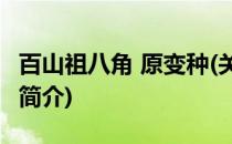 百山祖八角 原变种(关于百山祖八角 原变种的简介)