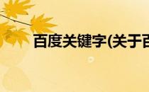 百度关键字(关于百度关键字的简介)
