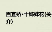 百宜娇·十姊妹花(关于百宜娇·十姊妹花的简介)