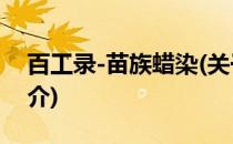 百工录-苗族蜡染(关于百工录-苗族蜡染的简介)