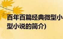 百年百篇经典微型小说(关于百年百篇经典微型小说的简介)