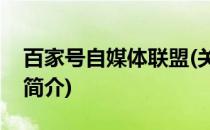 百家号自媒体联盟(关于百家号自媒体联盟的简介)