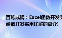百炼成钢：Excel函数开发实用详解(关于百炼成钢：Excel函数开发实用详解的简介)