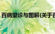 百病望诊与图解(关于百病望诊与图解的简介)