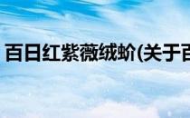 百日红紫薇绒蚧(关于百日红紫薇绒蚧的简介)