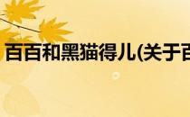 百百和黑猫得儿(关于百百和黑猫得儿的简介)