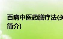 百病中医药膳疗法(关于百病中医药膳疗法的简介)