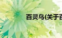 百灵鸟(关于百灵鸟的简介)