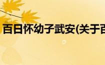百日怀幼子武安(关于百日怀幼子武安的简介)