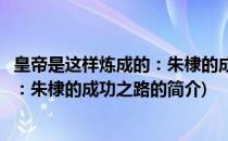 皇帝是这样炼成的：朱棣的成功之路(关于皇帝是这样炼成的：朱棣的成功之路的简介)