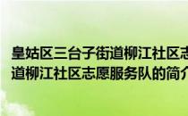 皇姑区三台子街道柳江社区志愿服务队(关于皇姑区三台子街道柳江社区志愿服务队的简介)