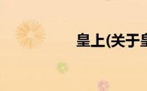 皇上(关于皇上的简介)