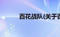 百花战队(关于百花战队的简介)