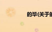 的毕(关于的毕的简介)