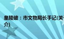 皇陵破：市文物局长手记(关于皇陵破：市文物局长手记的简介)