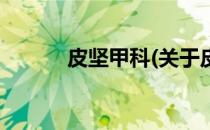皮坚甲科(关于皮坚甲科的简介)