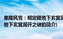 皇陵风雪：明定陵地下玄宫洞开之谜(关于皇陵风雪：明定陵地下玄宫洞开之谜的简介)