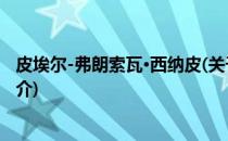 皮埃尔-弗朗索瓦·西纳皮(关于皮埃尔-弗朗索瓦·西纳皮的简介)