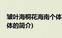 皱叶海桐花海南个体(关于皱叶海桐花海南个体的简介)