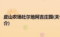 皮山农场吐尔地阿吉庄园(关于皮山农场吐尔地阿吉庄园的简介)