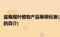 盆栽观叶植物产品等级标准(关于盆栽观叶植物产品等级标准的简介)