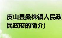皮山县桑株镇人民政府(关于皮山县桑株镇人民政府的简介)