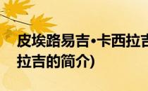 皮埃路易吉·卡西拉吉(关于皮埃路易吉·卡西拉吉的简介)