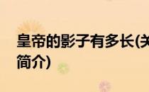 皇帝的影子有多长(关于皇帝的影子有多长的简介)