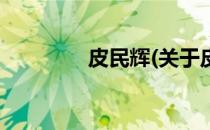 皮民辉(关于皮民辉的简介)