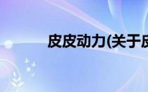 皮皮动力(关于皮皮动力的简介)