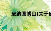 皮纳图博山(关于皮纳图博山的简介)