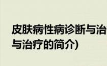皮肤病性病诊断与治疗(关于皮肤病性病诊断与治疗的简介)