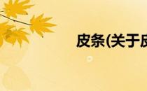 皮条(关于皮条的简介)