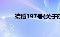 皖稻197号(关于皖稻197号的简介)
