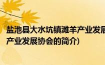 盐池县大水坑镇滩羊产业发展协会(关于盐池县大水坑镇滩羊产业发展协会的简介)