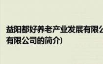 益阳都好养老产业发展有限公司(关于益阳都好养老产业发展有限公司的简介)