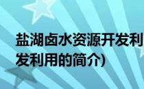 盐湖卤水资源开发利用(关于盐湖卤水资源开发利用的简介)