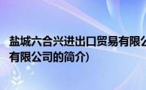 盐城六合兴进出口贸易有限公司(关于盐城六合兴进出口贸易有限公司的简介)