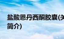 盐酸恩丹西酮胶囊(关于盐酸恩丹西酮胶囊的简介)