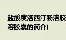 盐酸度洛西汀肠溶胶囊(关于盐酸度洛西汀肠溶胶囊的简介)