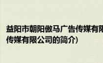 益阳市朝阳傲马广告传媒有限公司(关于益阳市朝阳傲马广告传媒有限公司的简介)