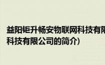 益阳钜升畅安物联网科技有限公司(关于益阳钜升畅安物联网科技有限公司的简介)