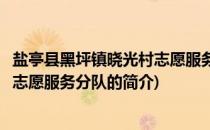 盐亭县黑坪镇晓光村志愿服务分队(关于盐亭县黑坪镇晓光村志愿服务分队的简介)