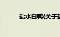 盐水白鸭(关于盐水白鸭的简介)