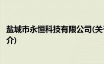盐城市永恒科技有限公司(关于盐城市永恒科技有限公司的简介)