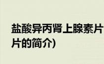 盐酸异丙肾上腺素片(关于盐酸异丙肾上腺素片的简介)