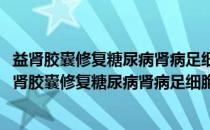 益肾胶囊修复糖尿病肾病足细胞损伤的分子机制研究(关于益肾胶囊修复糖尿病肾病足细胞损伤的分子机制研究的简介)
