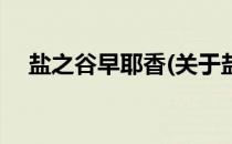 盐之谷早耶香(关于盐之谷早耶香的简介)