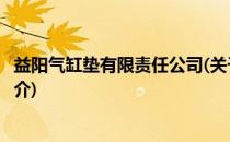 益阳气缸垫有限责任公司(关于益阳气缸垫有限责任公司的简介)